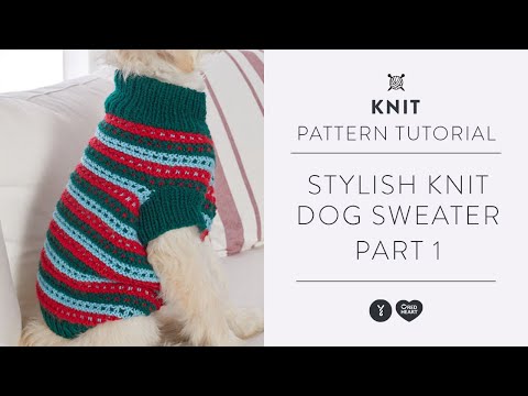 How to Knit a Dog Sweater with Marly Bird | Knitting Tutorial | Part 1