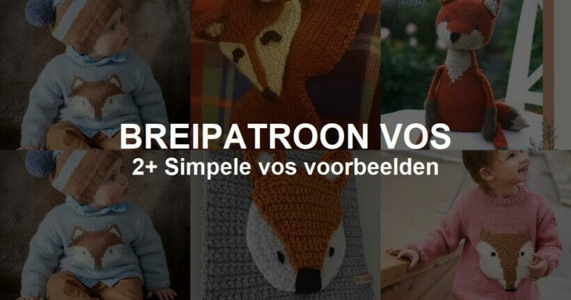 Download gratis Breipatroon vos voor Beginners