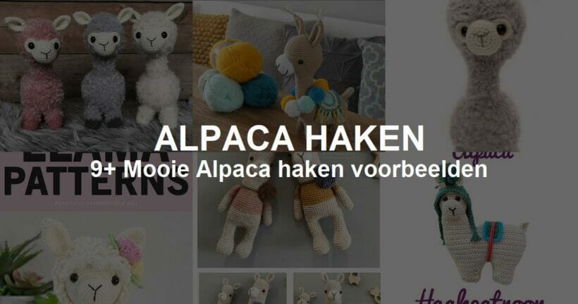 Gratis Alpaca haken Downloaden met Voorbeelden