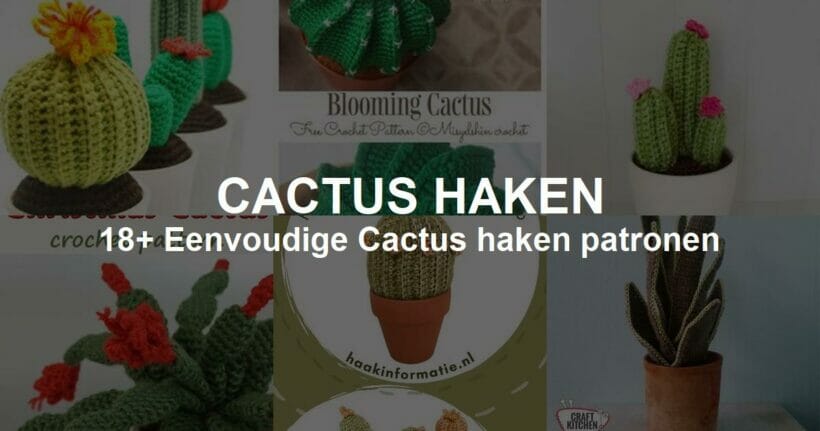Gratis Cactus haken Downloaden